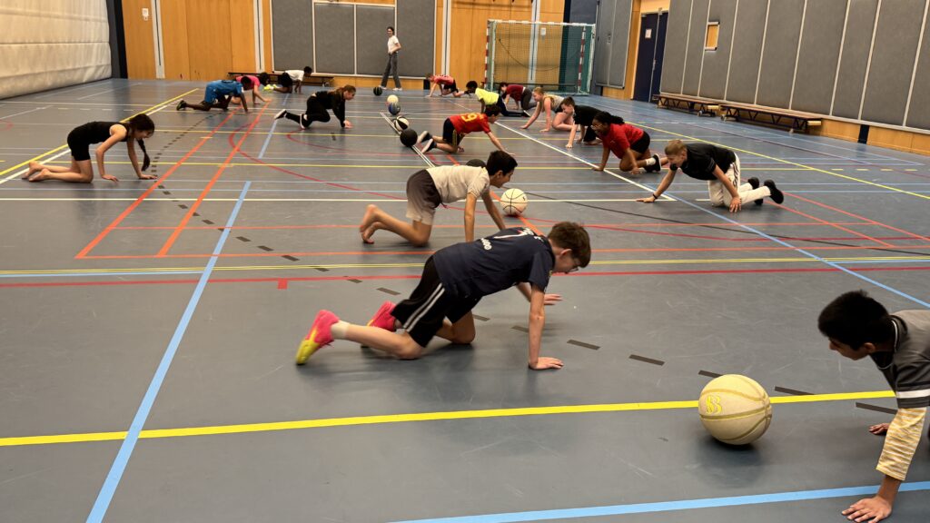workshops basketbal voor jong en oud door showcase basketball